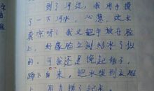 胜似亲人300字作文