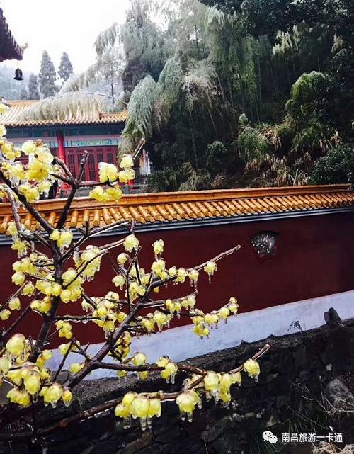 爱溪公园