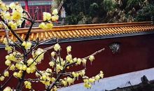 家乡的艾溪公园