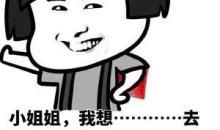 我有一个小想法