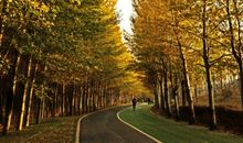 那个秋天遇见了最美的您