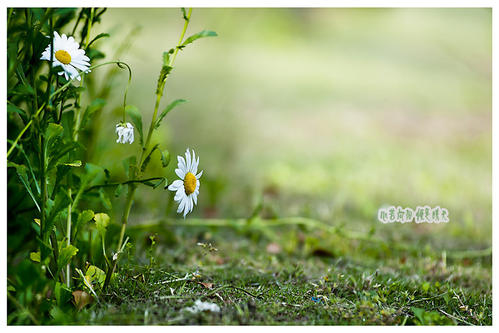 明亮的心是晴天