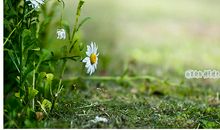 心向光明便是晴天