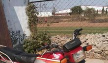 【原创】助人为乐的老奶奶_750字