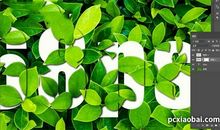 藏在叶中的精彩