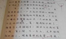 我眼中的学校作文500字