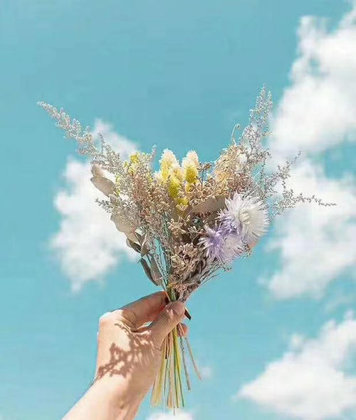 风雨中的眼泪