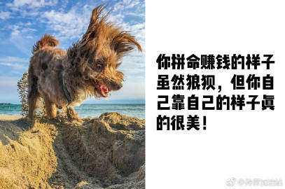 你真的很美