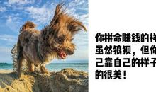 拼搏的你真的很美