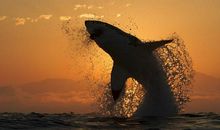 现一种新生的力量