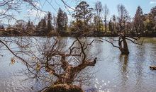 有你的地方是春天