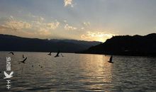 这也是一道风景