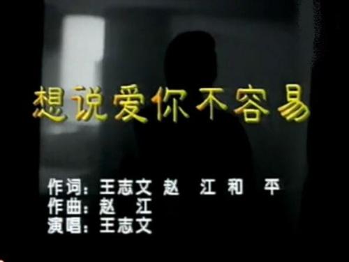 我想说爱你并不容易