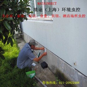 四年级捕蚊组成