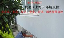 四年级捉蚊子作文