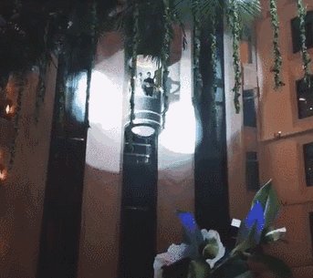 朝贤太好了