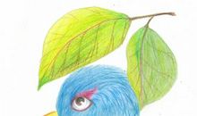 我梦见我是一只小鸟