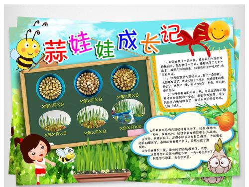 植物观察日记
