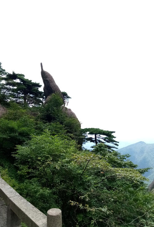 黄山暑假旅游记