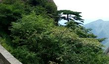 暑假游记之黄山