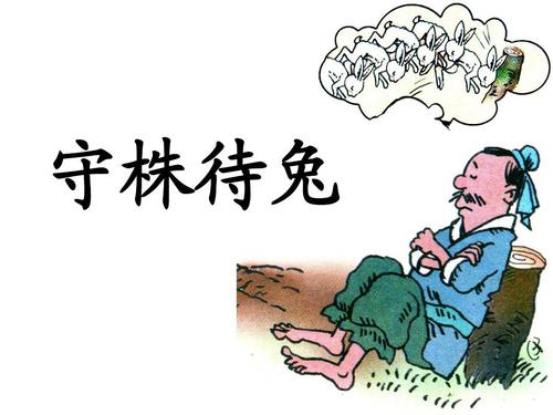 等待兔子