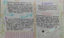 来自大自然的启示