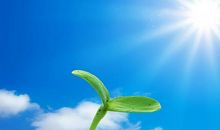 做一颗坚强的小草