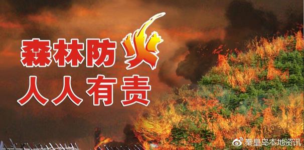 人人负责森林防火