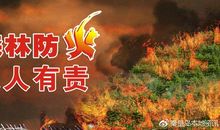 森林防火人人有责