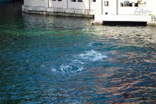 济南春城旅游须知