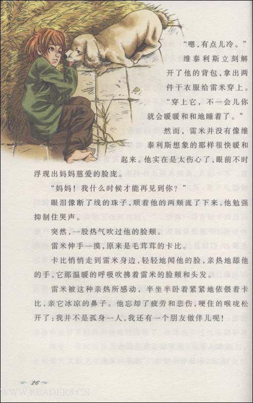 阅读后无家可归的小狗