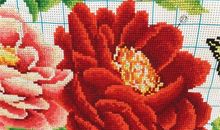 珍爱那一季的花开