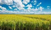 记忆深处的那张照片