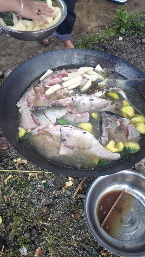 在河边野餐
