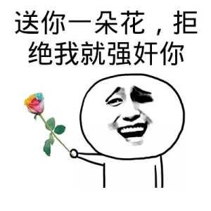 我给某人一朵花