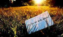 冬日里的一抹暖阳