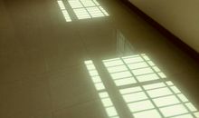 记忆深处的那个影子