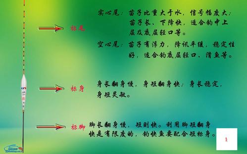 研究无休止的讨论组成