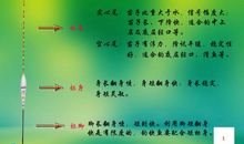 学无止境的议论作文