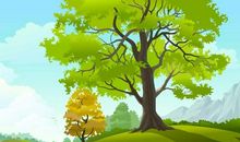 假如我会变成一条大树