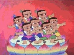 我和葫芦的一天
