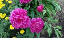 我多想回到从前