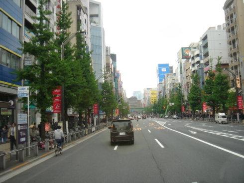 枫林