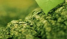 把握自己的那份快乐