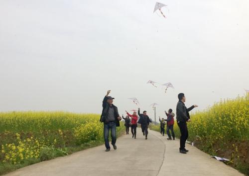 风筝在春天飞