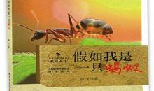 我，是一只蚂蚁
