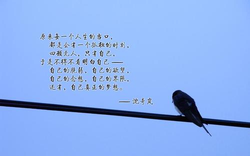 追求理想