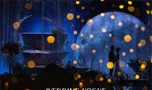 无名星球的自述