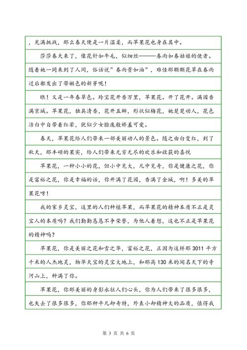 以网络为主题