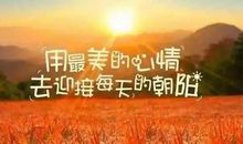 努力不需要理由